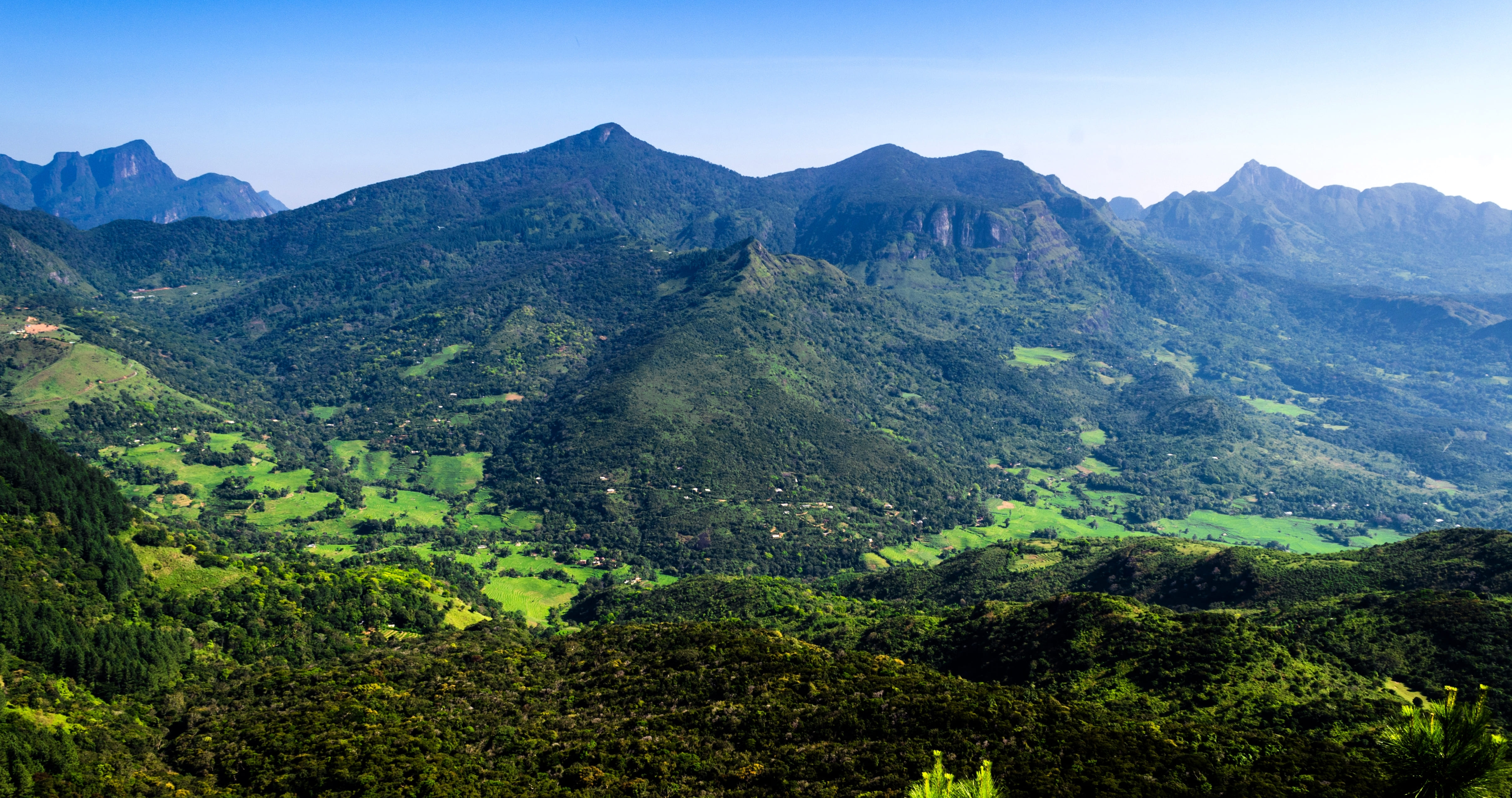 Knuckles Mountain Range