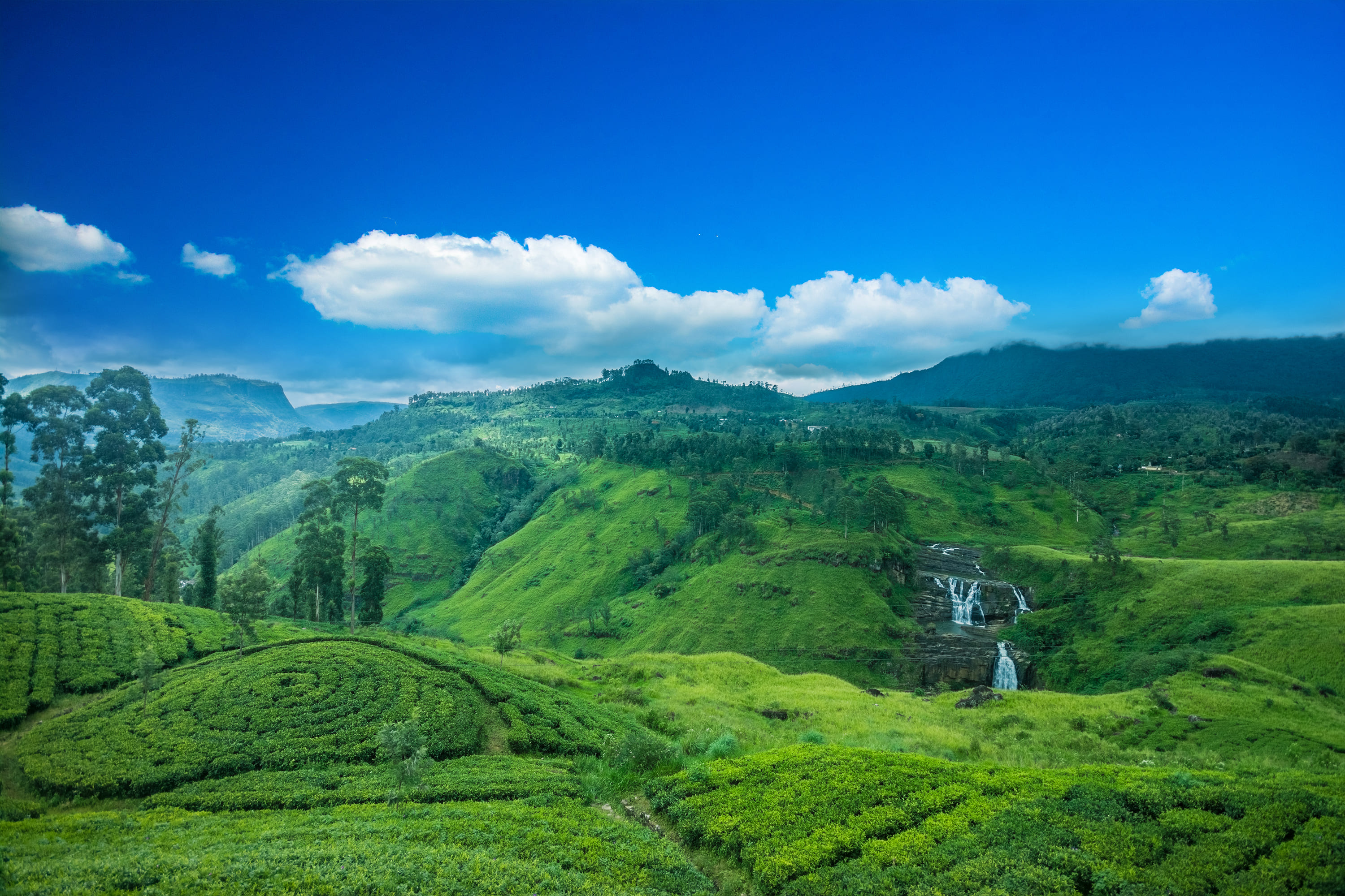 Hatton & Ceylon Tea Country